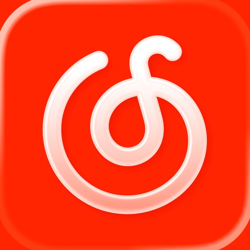 NetEase Music (网易云音乐) logo